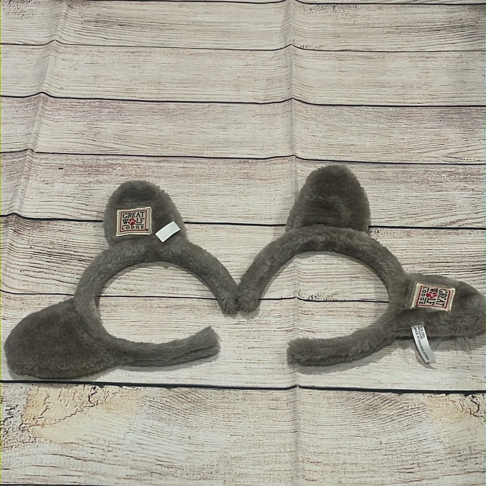 Great Wolf Lodge Ears